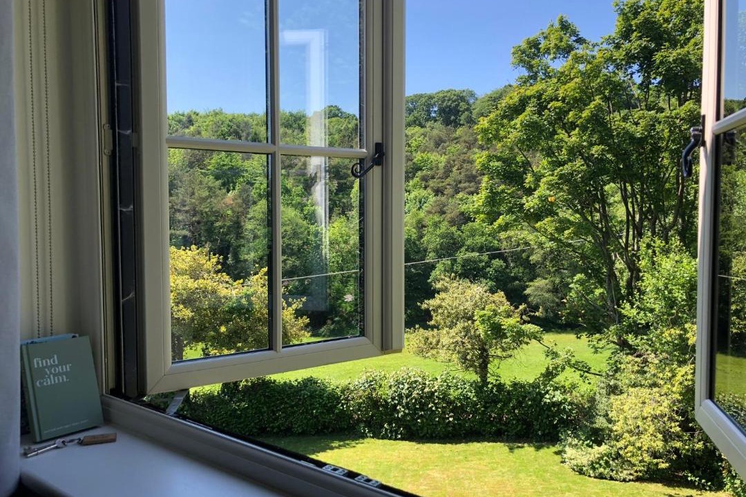 Photo of Others in Sheffield Green