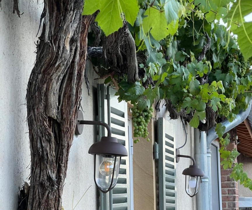 Photo of Others in Pouilly-les-Nonains