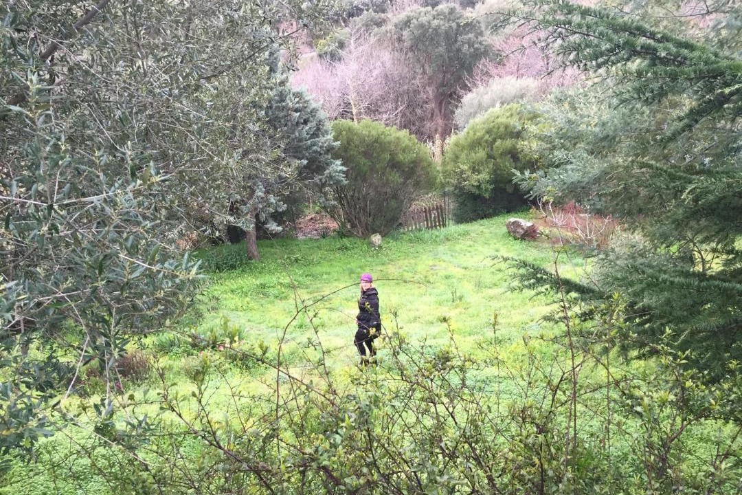 Photo of Others in Furiani