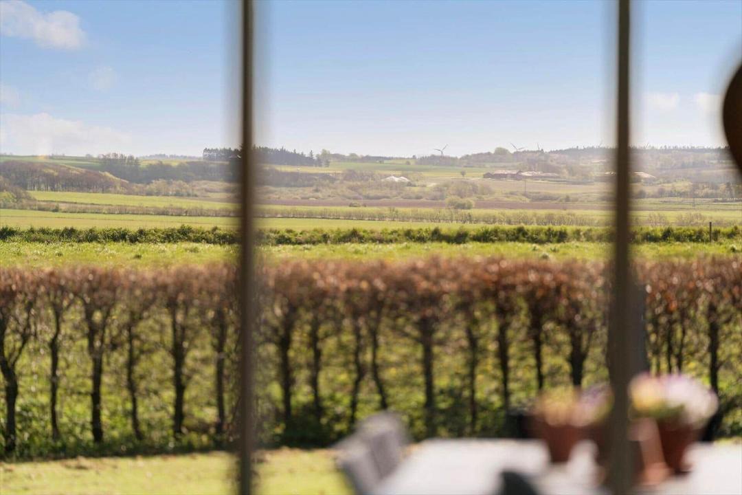 Photo of Others in Remmer Strand