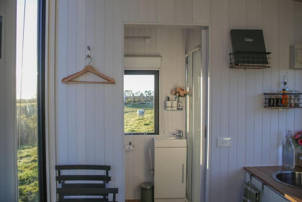 Photo of Others in Midhirst