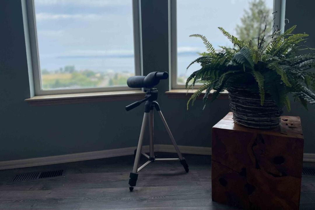 Photo of Others in Hansville