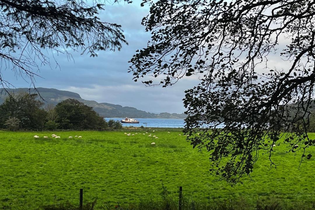 Photo of Others in Slate Islands