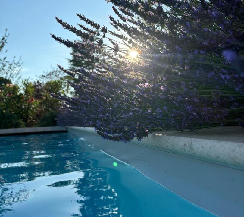 Photo of Others in Vitrac