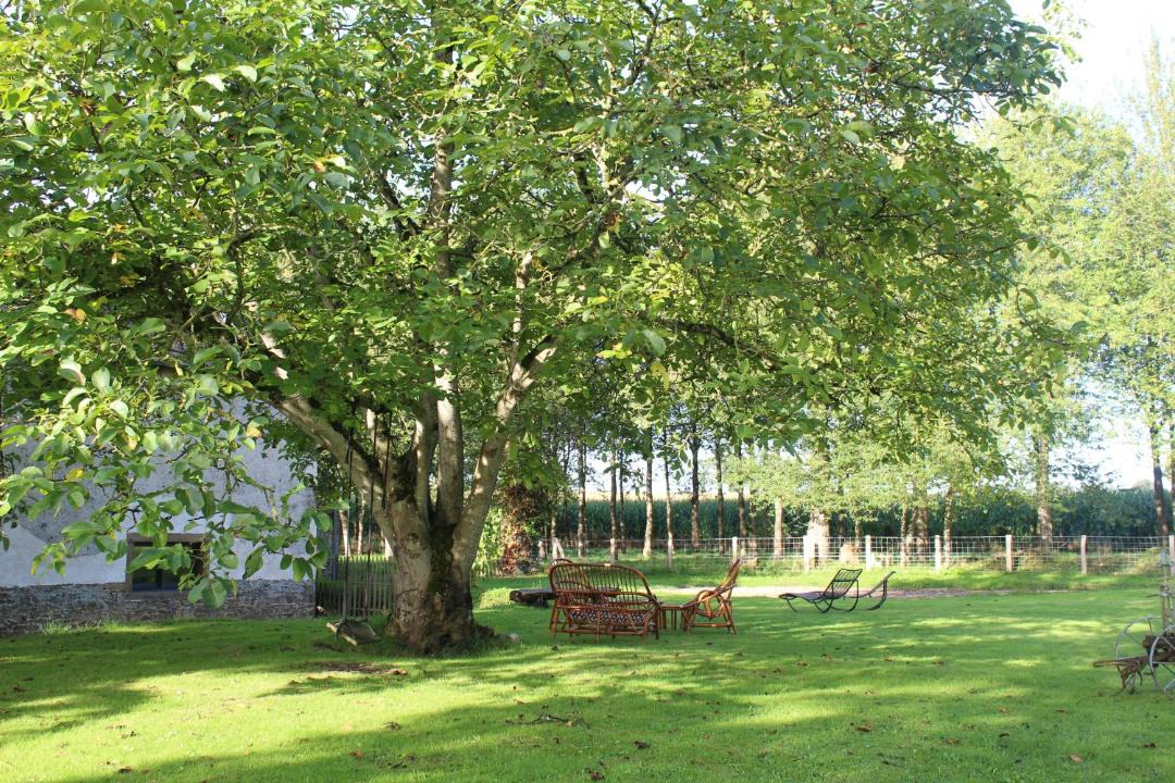 Photo of Others in Saint-Medard-sur-Ille