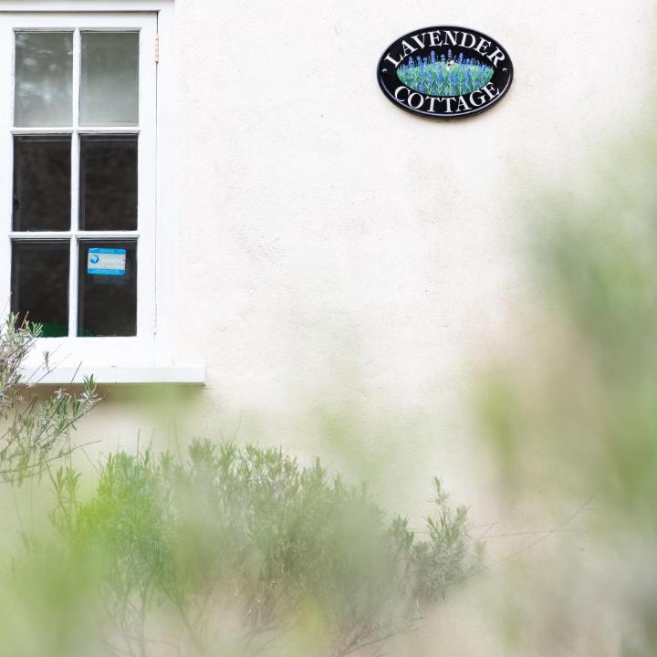 Photo of Others in Burley