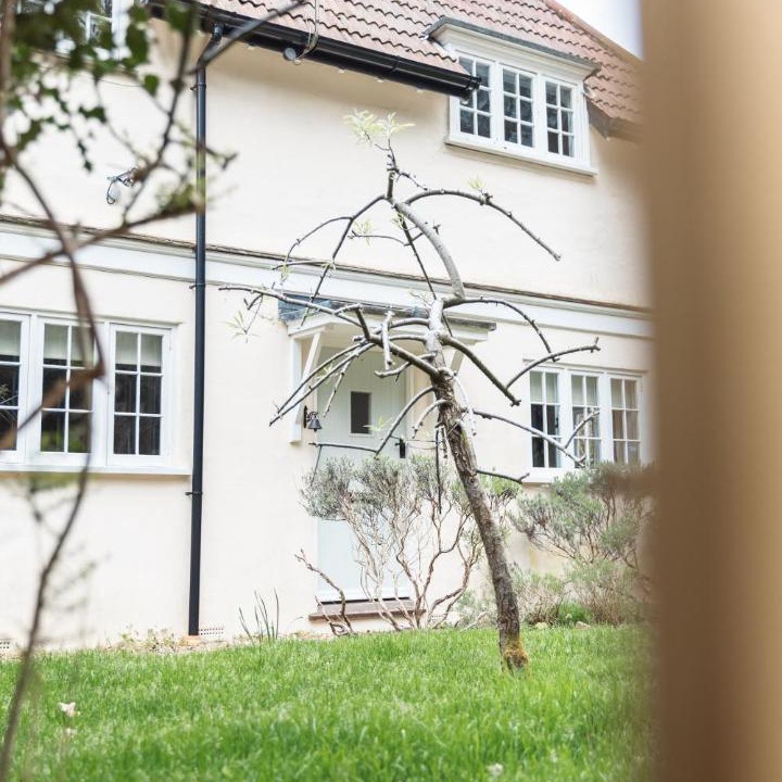 Photo of Others in Burley