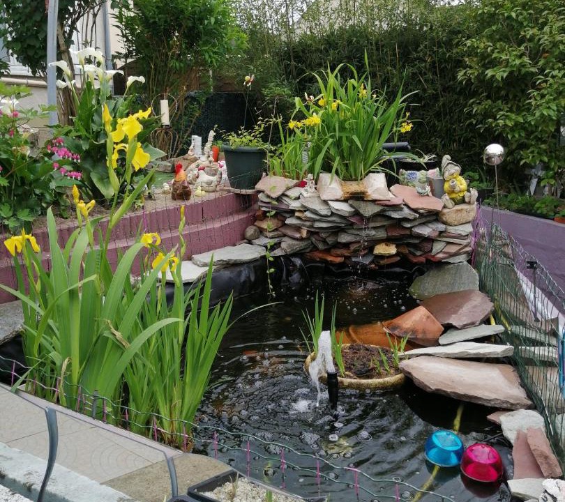 Photo of Others in Oasis - Maroc