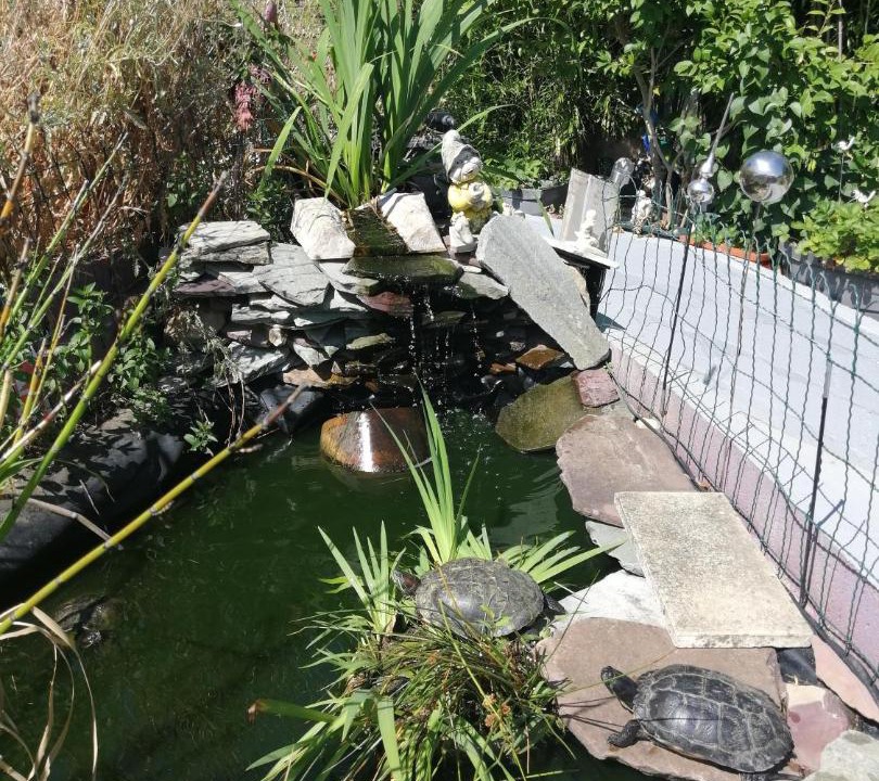 Photo of Others in Oasis - Maroc