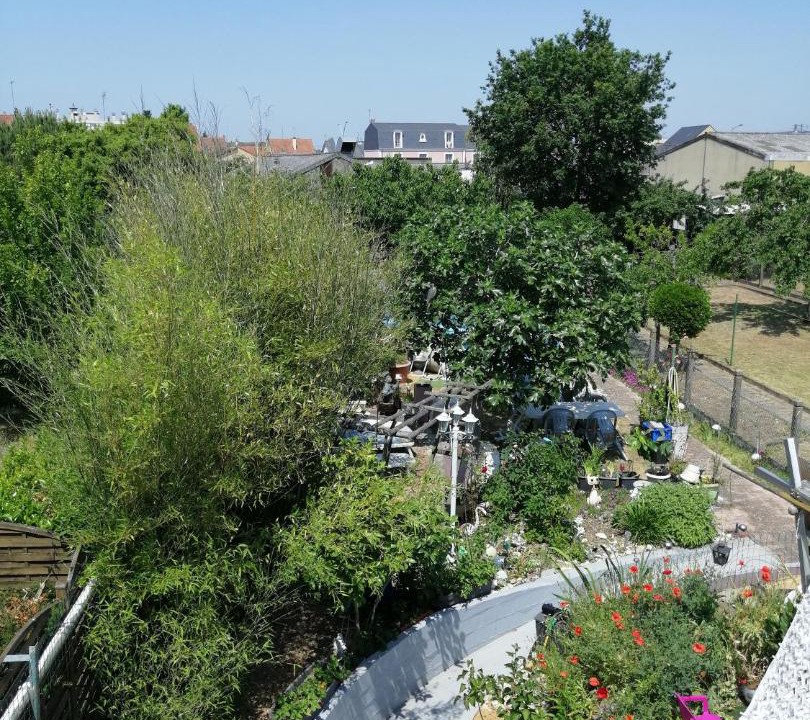 Photo of Others in Oasis - Maroc