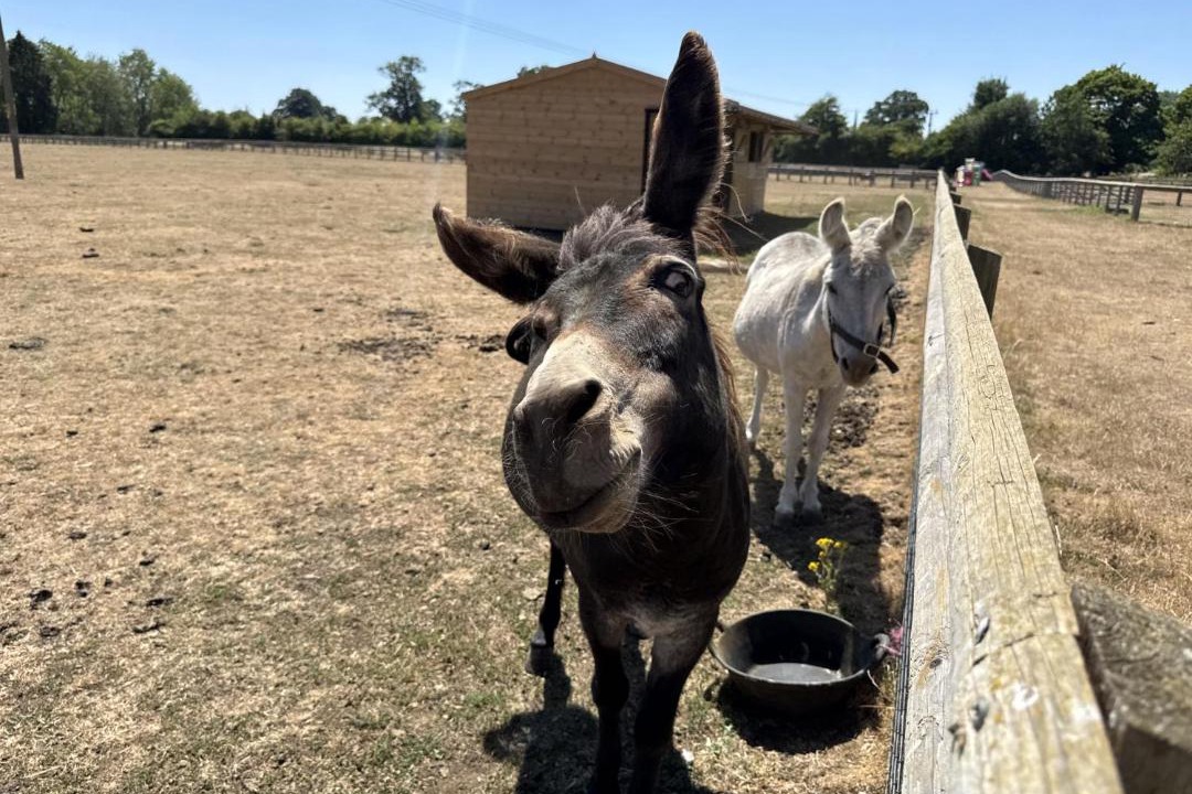 Photo of Others in Lechlade