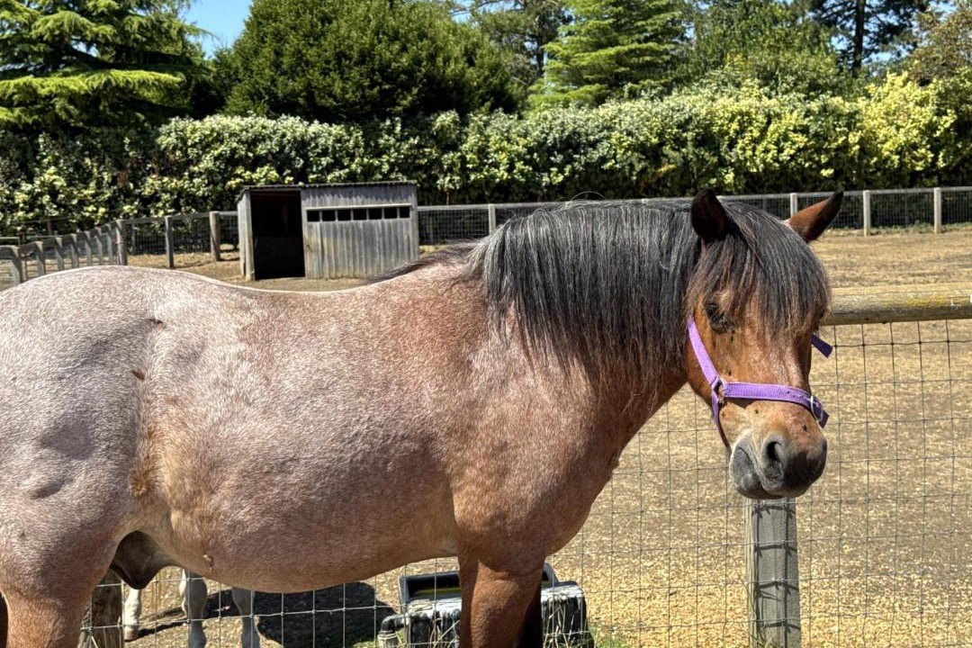 Photo of Others in Lechlade