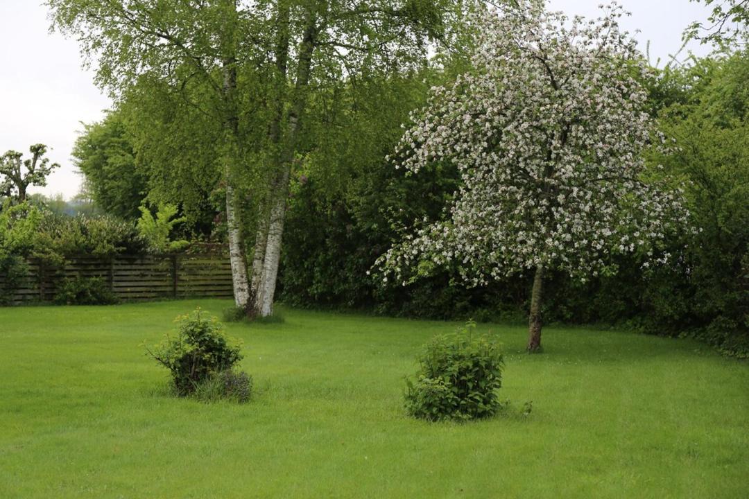 Photo of Others in Skovbyballe