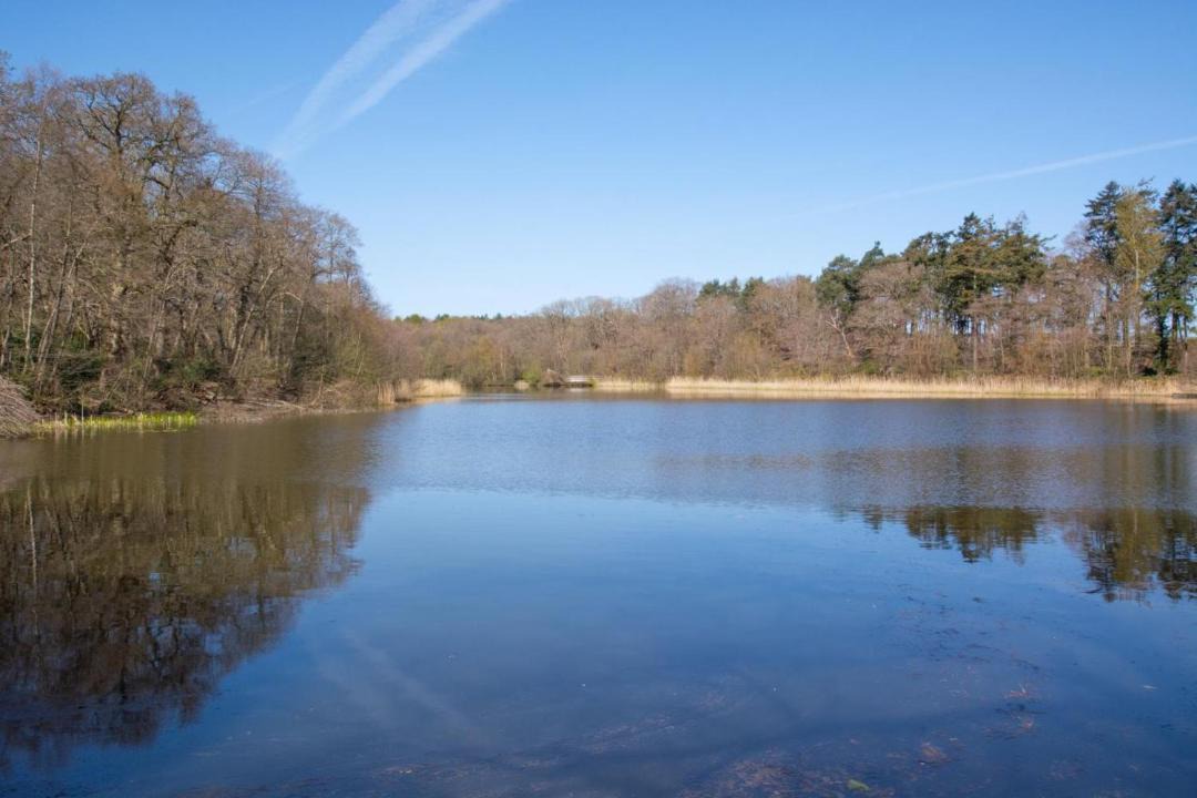 Photo of Others in Irstead