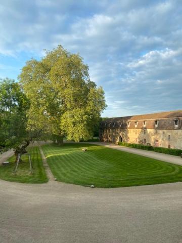 Photo of Others in Nouic