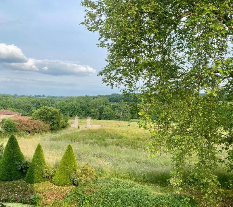 Photo of Others in Nouic