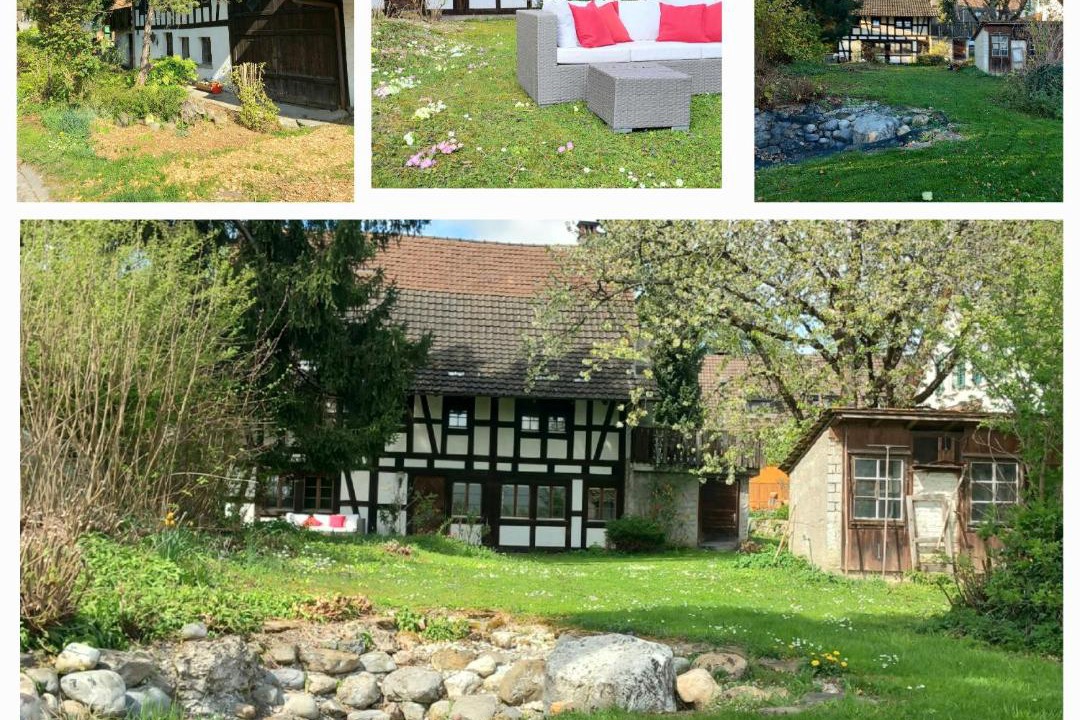 Photo of Others in Wasterkingen