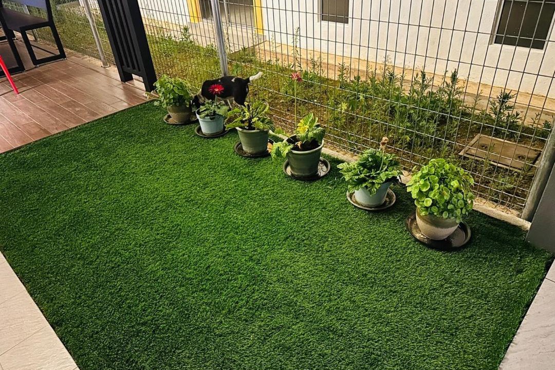 Photo of Others in Kampung Chempedak