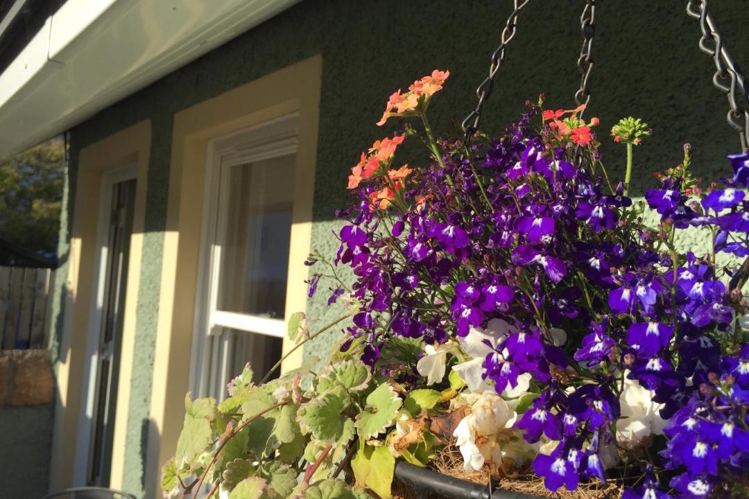 Photo of Others in Irvine