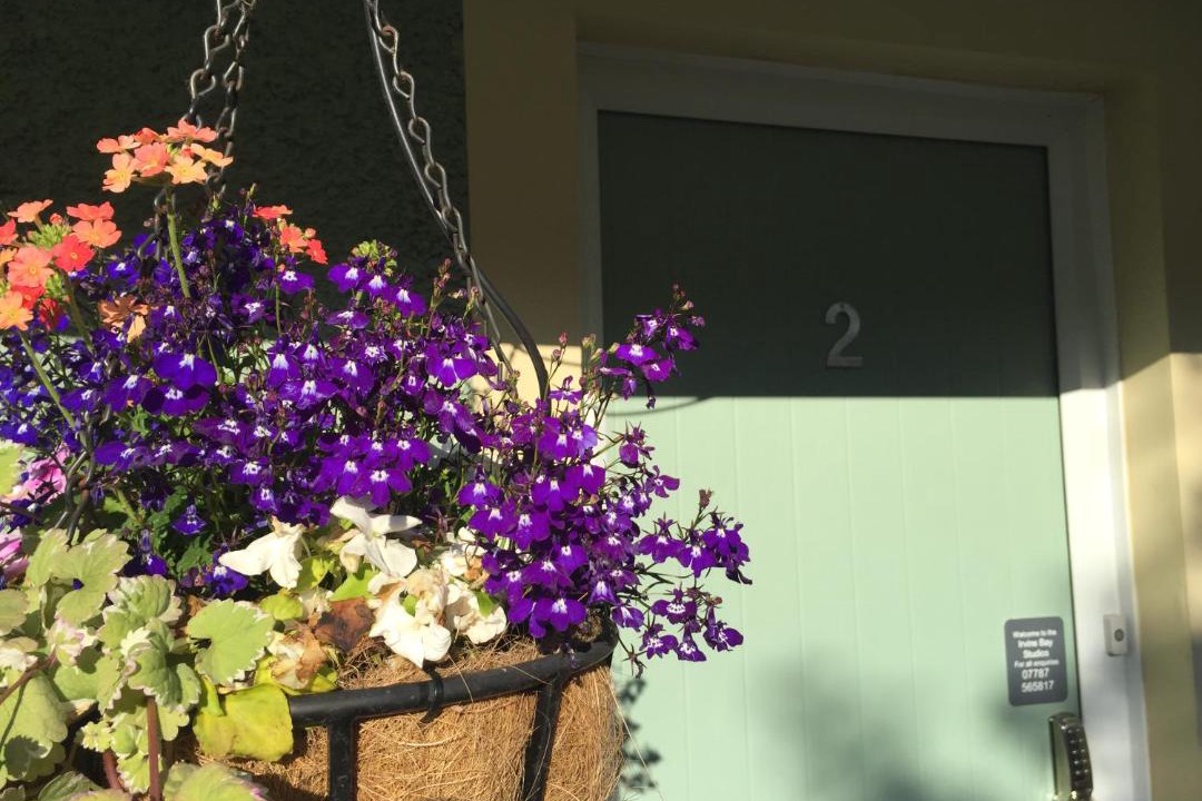 Photo of Others in Irvine