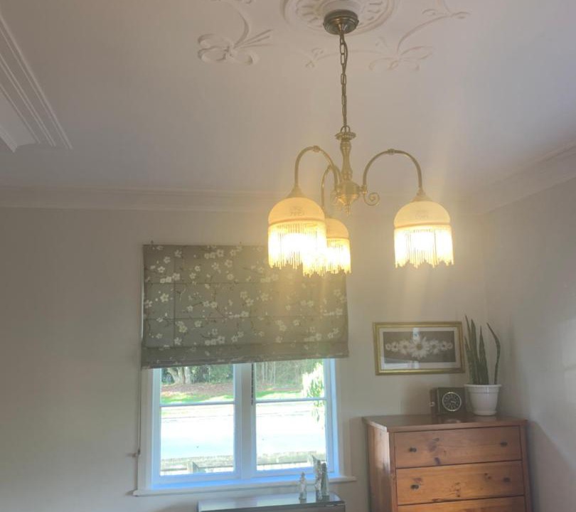 Photo of Others in Taumarunui