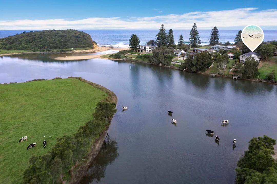 Photo of Others in Werri Beach
