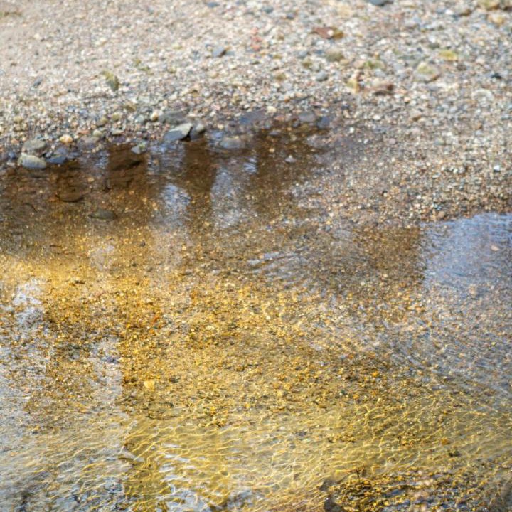 Photo of Others in Cornwall Bridge