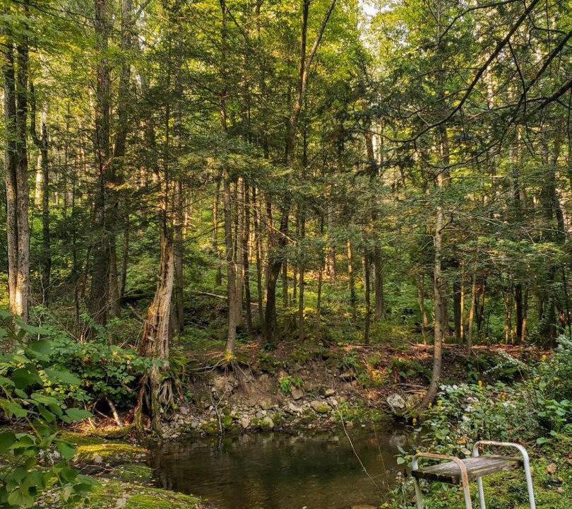 Photo of Others in Cornwall Bridge