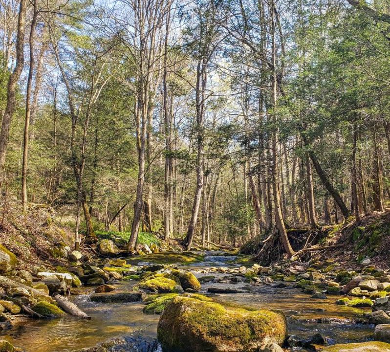 Photo of Others in Cornwall Bridge