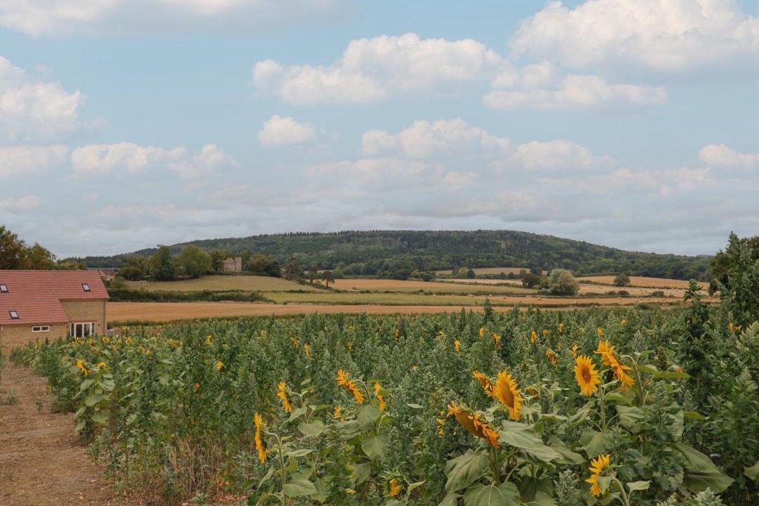 Photo of Others in East Chinnock