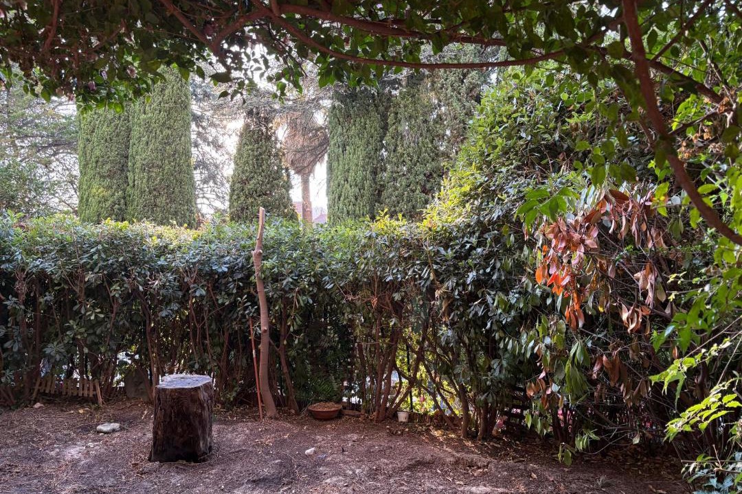 Photo of Others in Nice