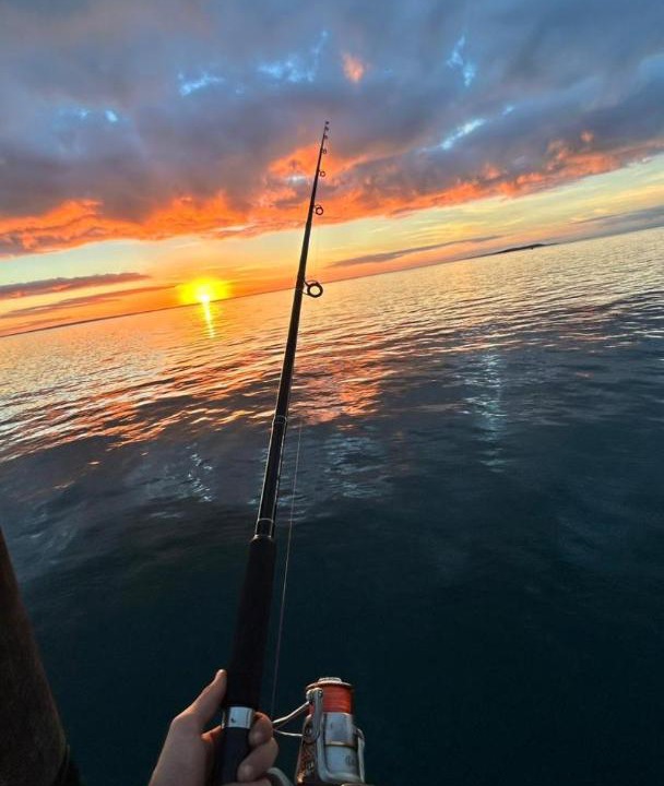 Photo of Others in Tin Can Bay