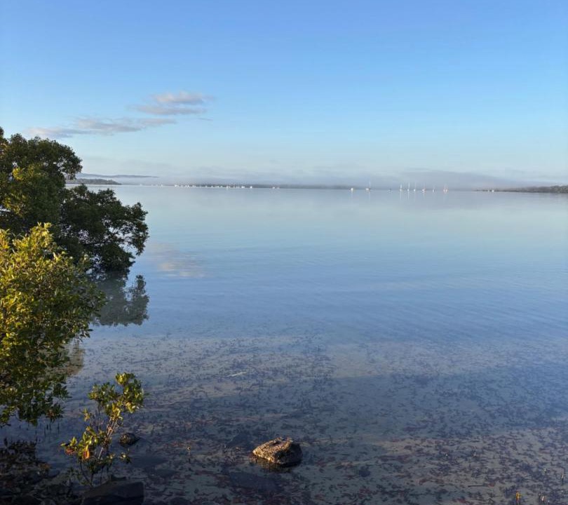 Photo of Others in Tin Can Bay