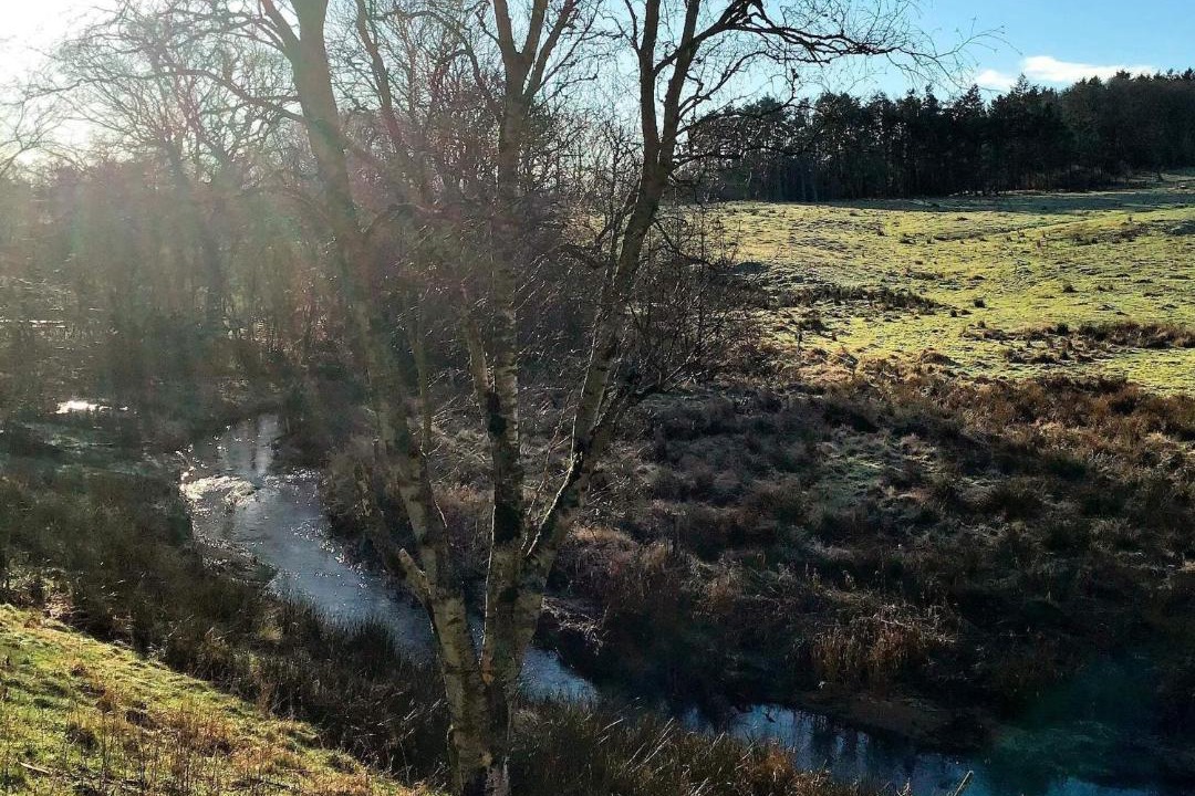 Photo of Others in Holstebro