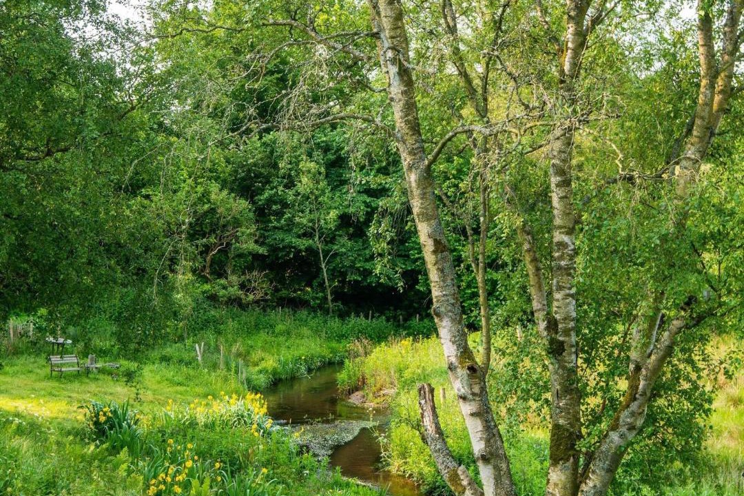 Photo of Others in Holstebro