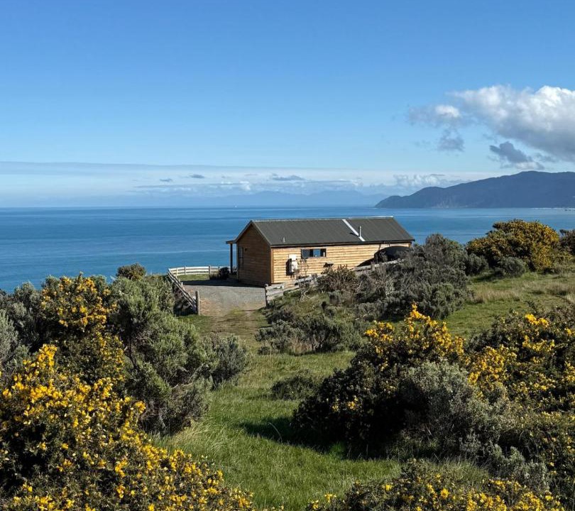 Photo of Others in Wellington