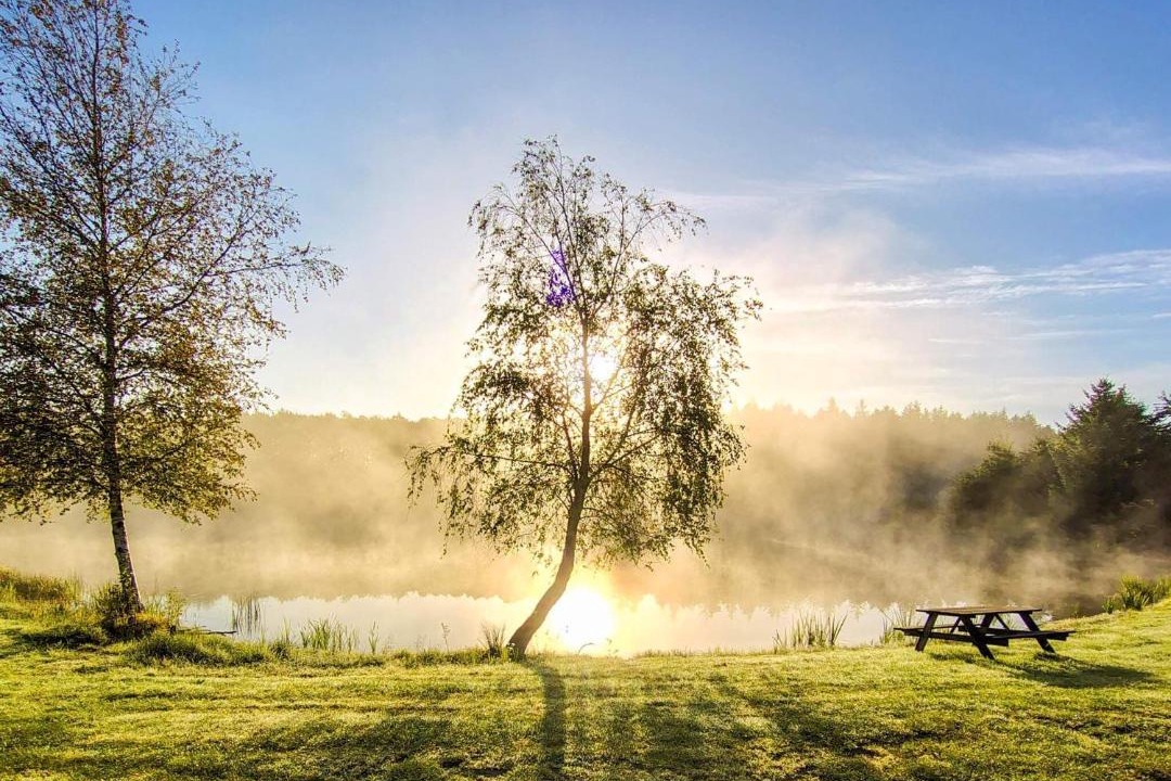 Photo of Others in Arrild Ferieby