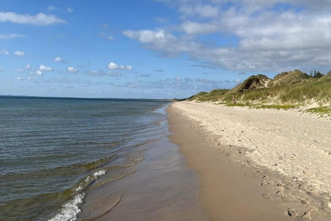 Photo of Others in Ronbjerg