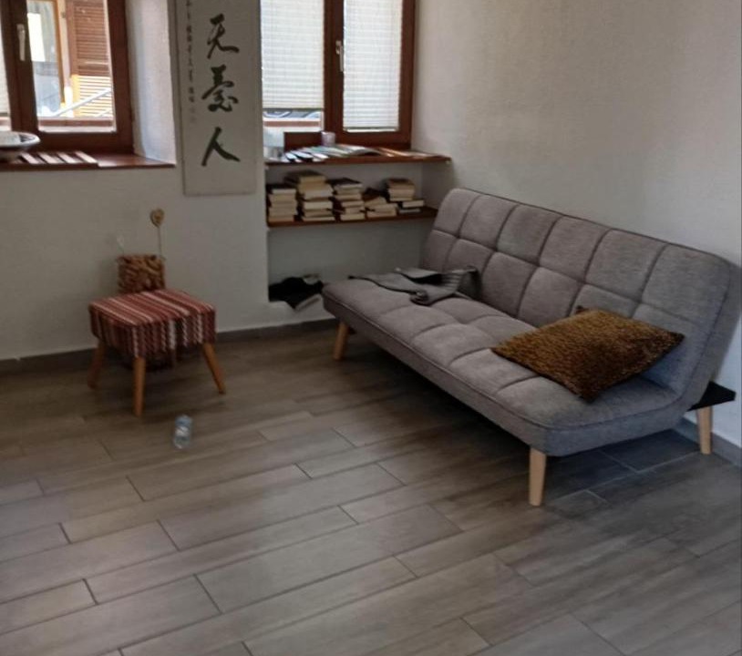 Photo of Livingroom in Bellinzona