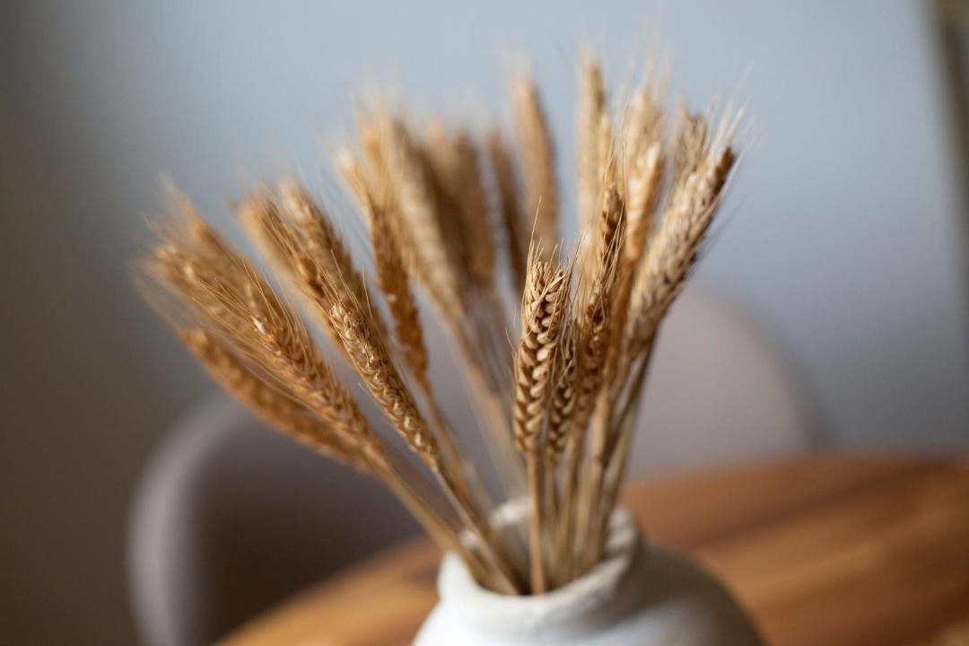 Photo of Others in Touet-sur-Var