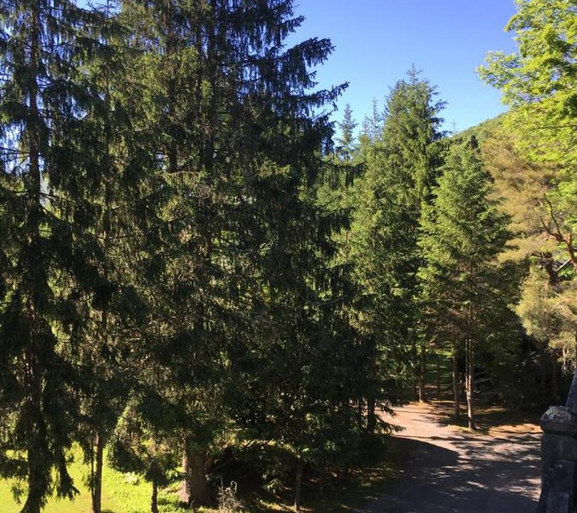 Photo of Outdoor in Oliverea