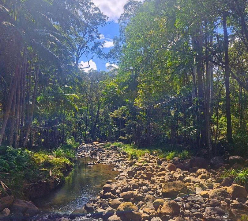 Photo of Others in North Tamborine