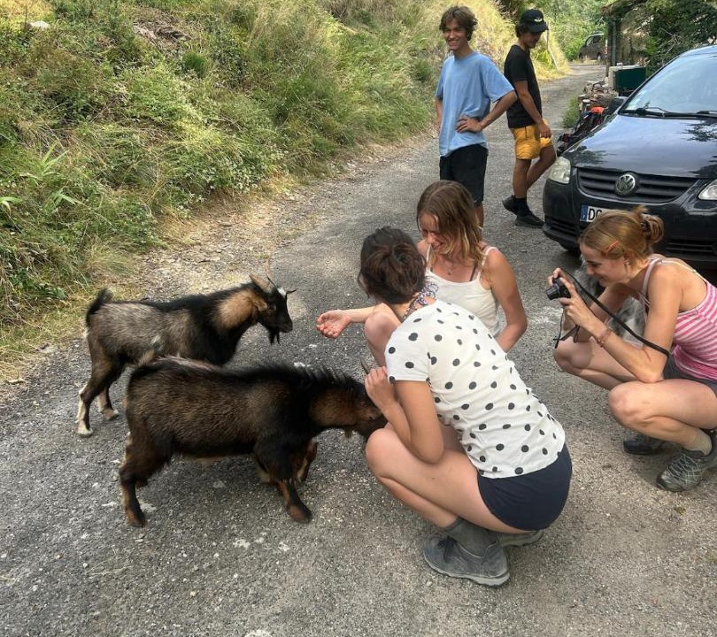 Photo of Others in Vialas