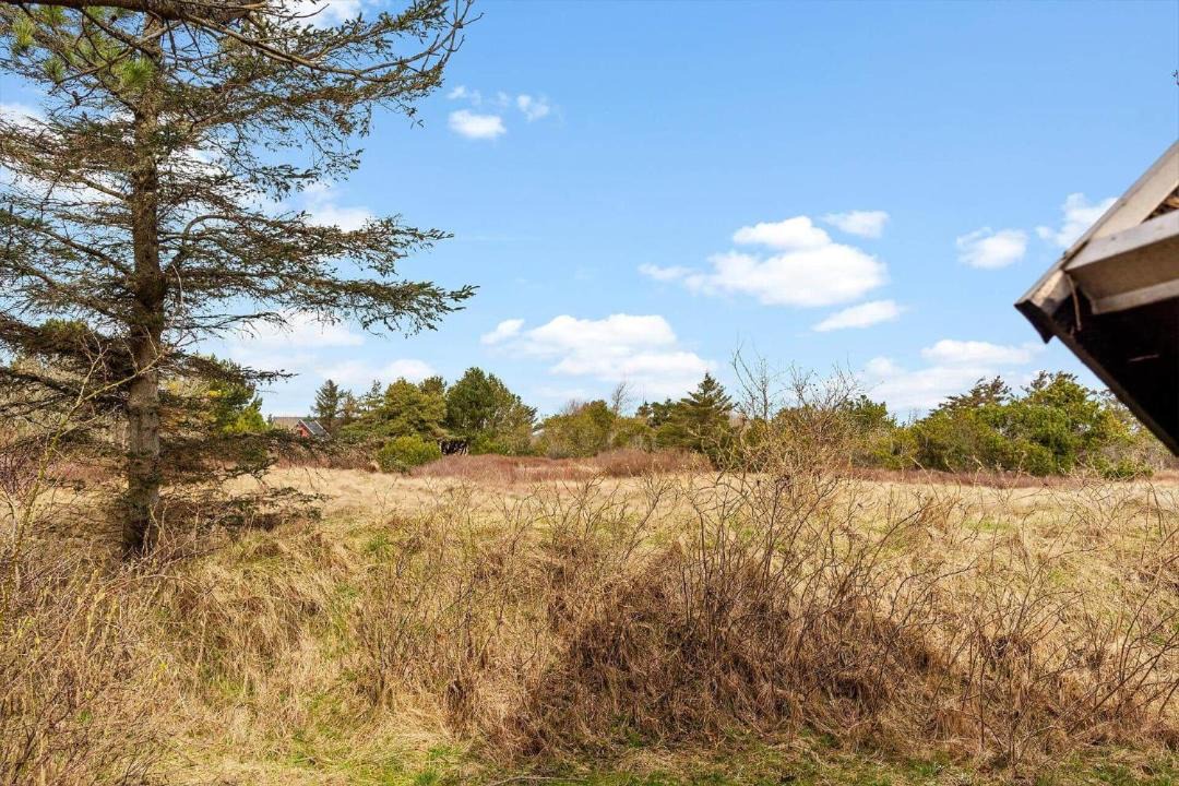 Photo of Others in Kandestederne