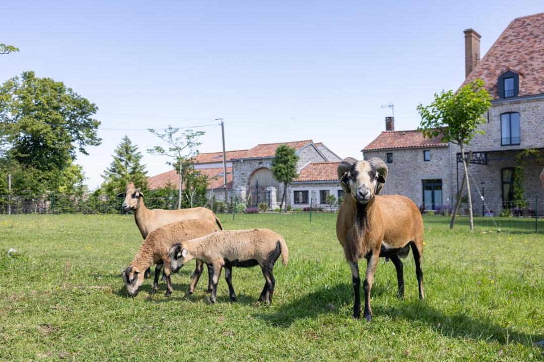 Photo of Others in Saint-Christophe-du-Bois