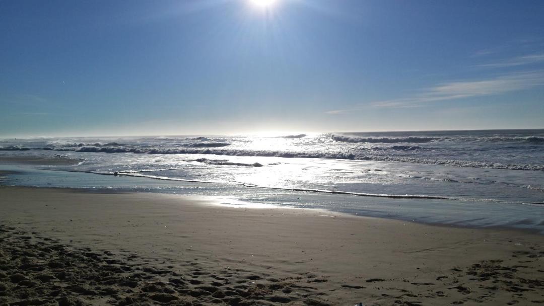 Photo of Others in Biscarrosse Plage