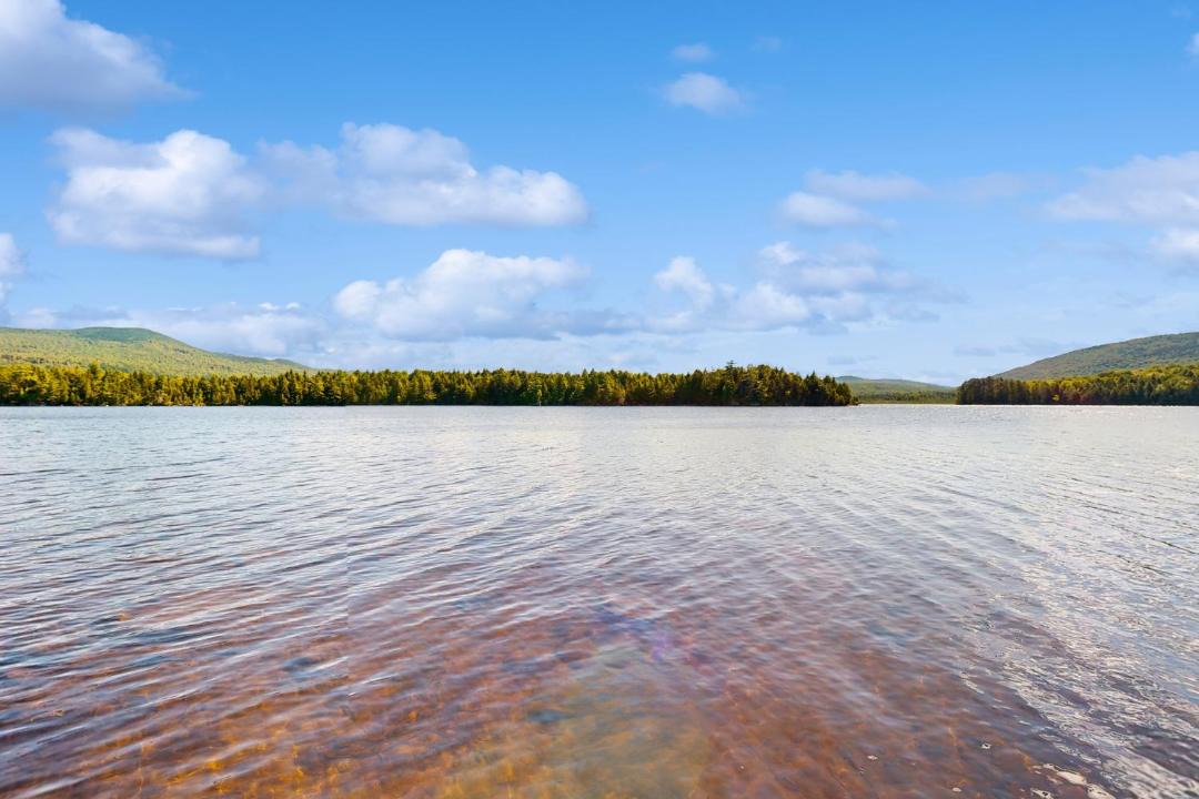 Photo of Others in Greenville