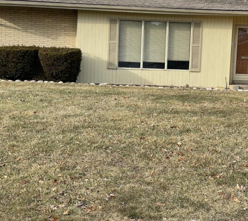 Photo of Others in Southfield