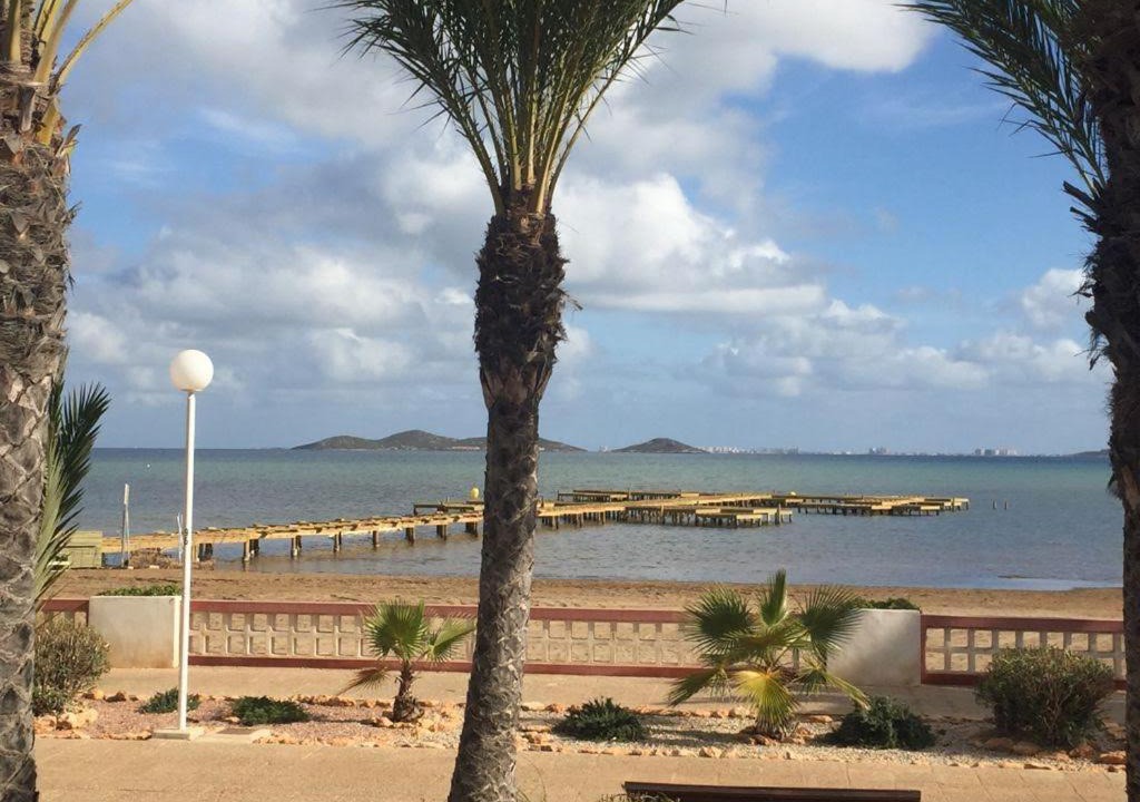 Photo of Others in Estrella del Mar