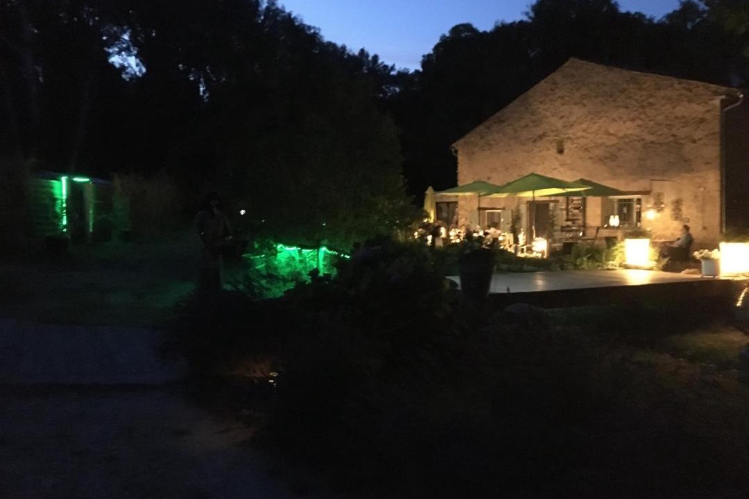 Photo of Others in Puget